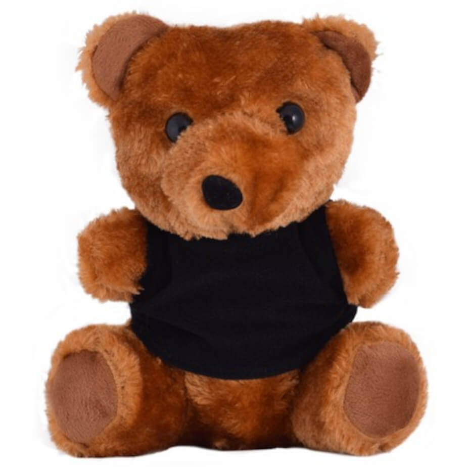 Teddy Plush Toy