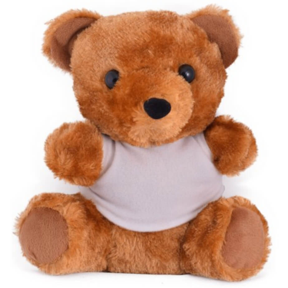 Teddy Plush Toy